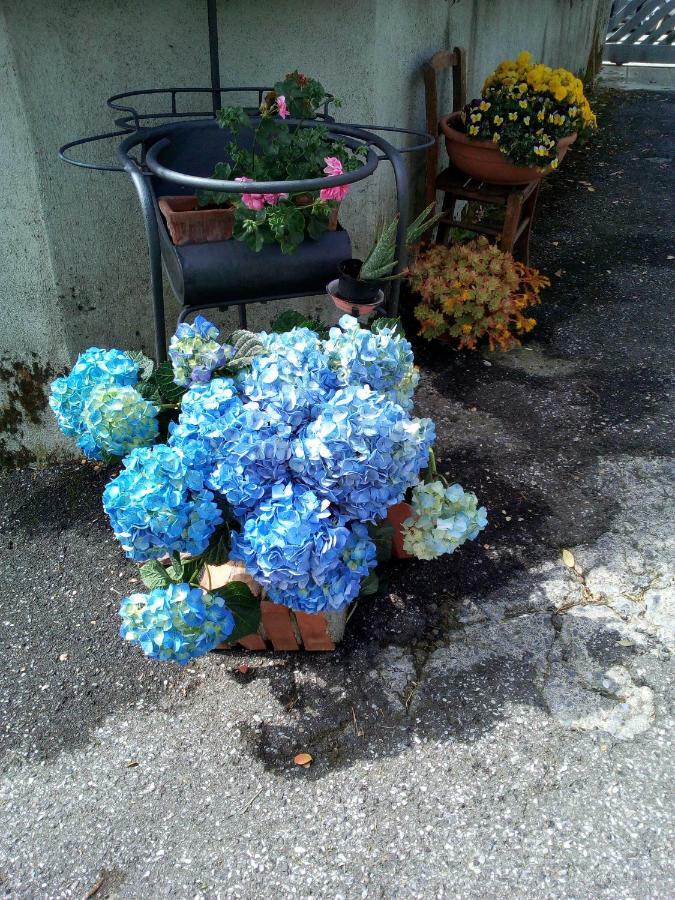 Albiano Casa Ro B&B 외부 사진